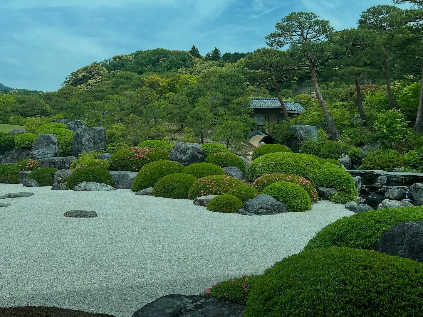 日本一の庭園である足立美術館に足を運びました。