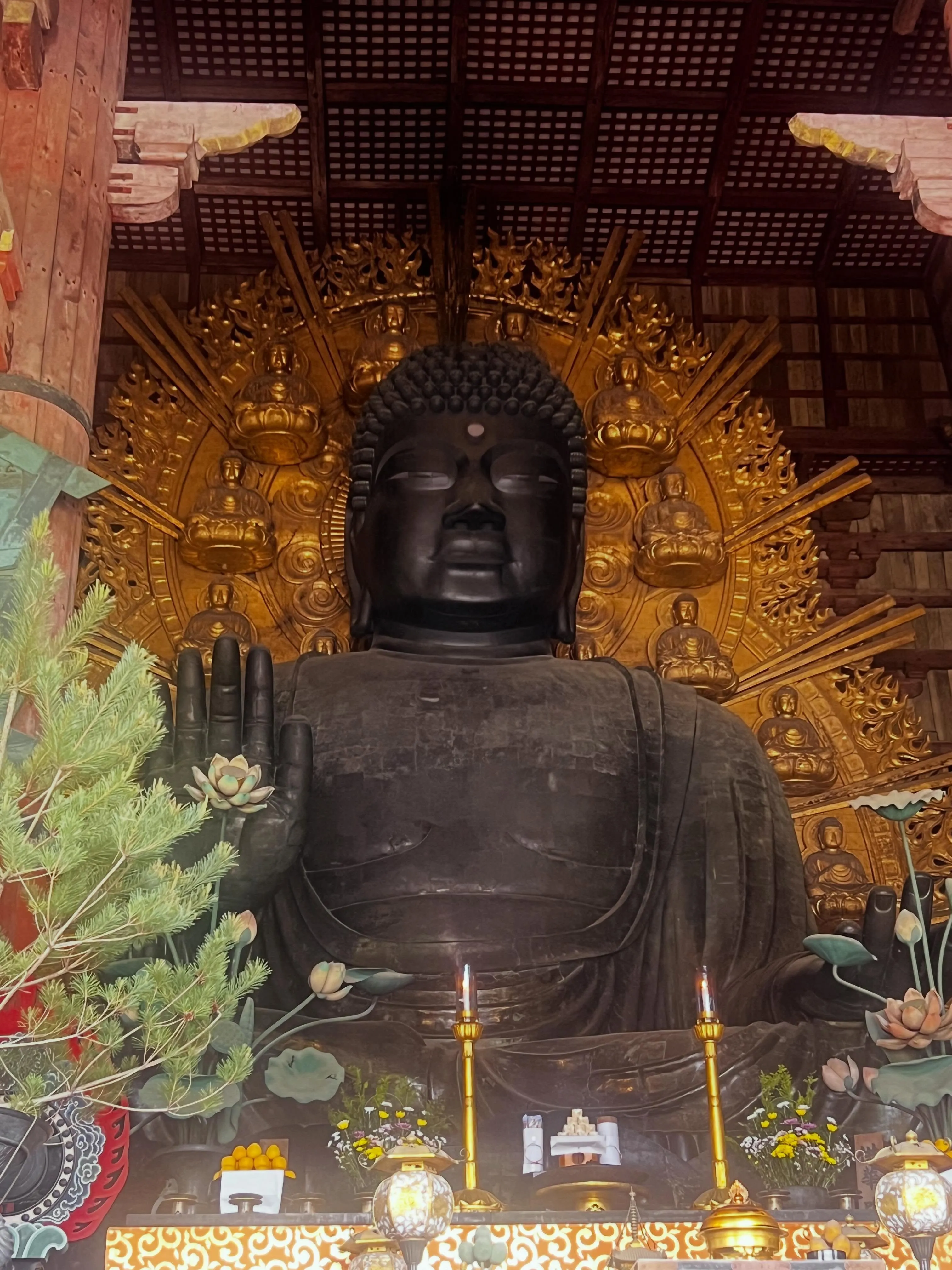 奈良の春日大社、東大寺南大門へ数十年振りに訪問して、圧巻のP...
