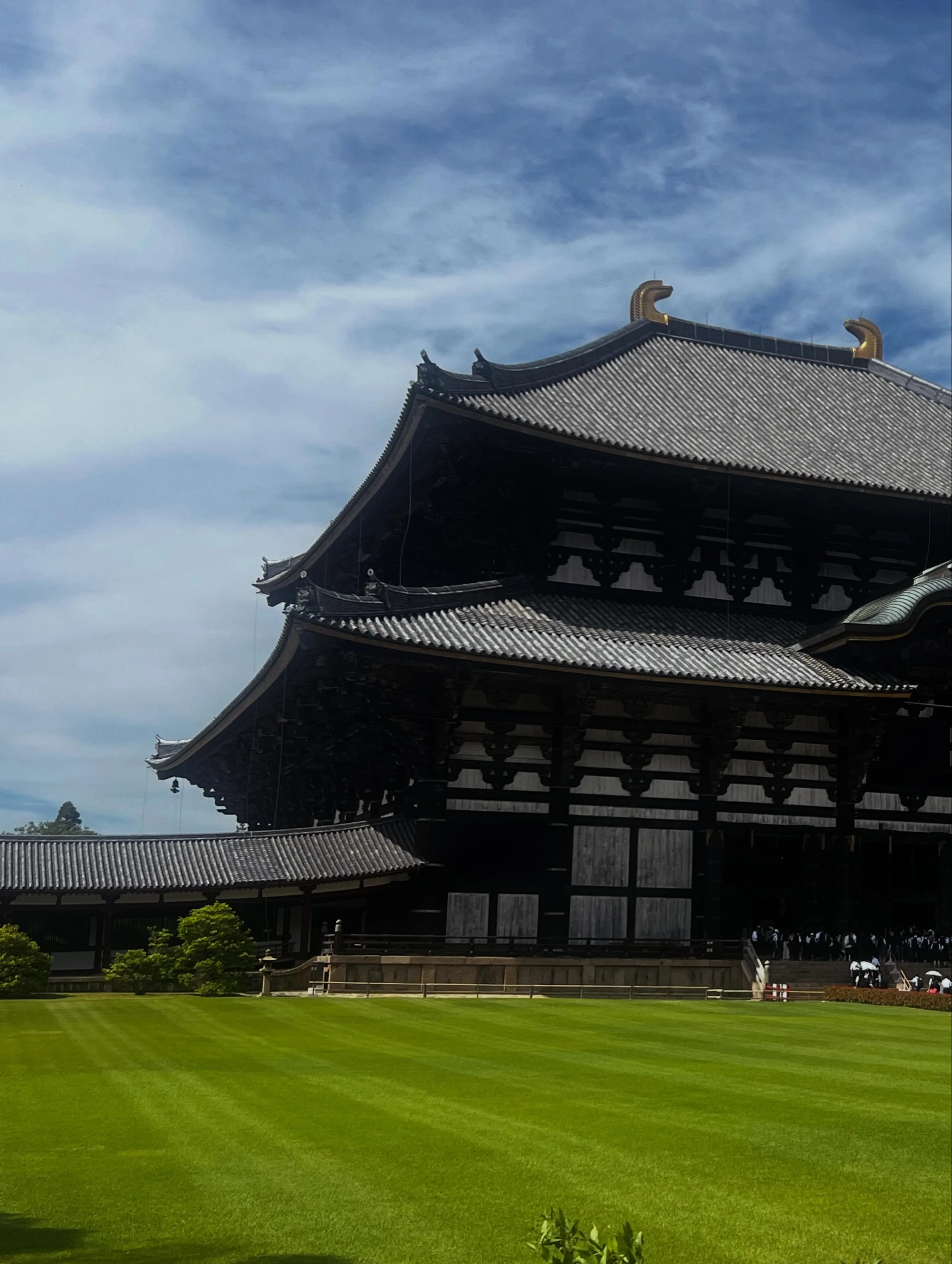 奈良の春日大社、東大寺南大門へ数十年振りに訪問して、圧巻のP...