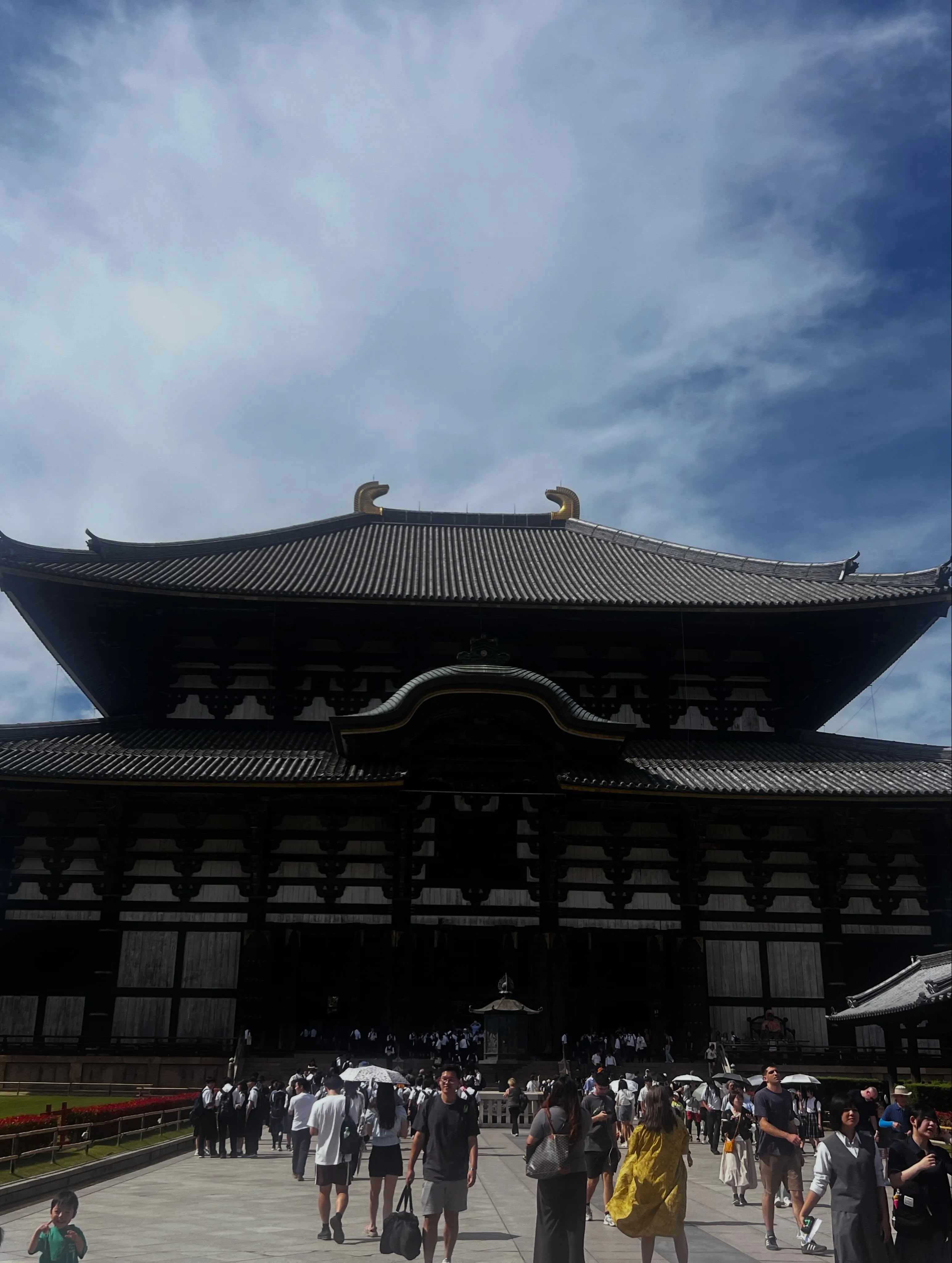 奈良の春日大社、東大寺南大門へ数十年振りに訪問して、圧巻のP...